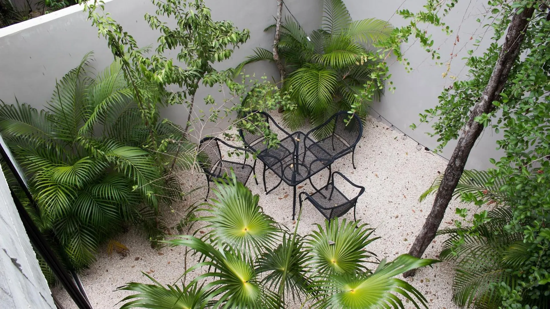 Nomad Humans Coliving Apartments Tulum