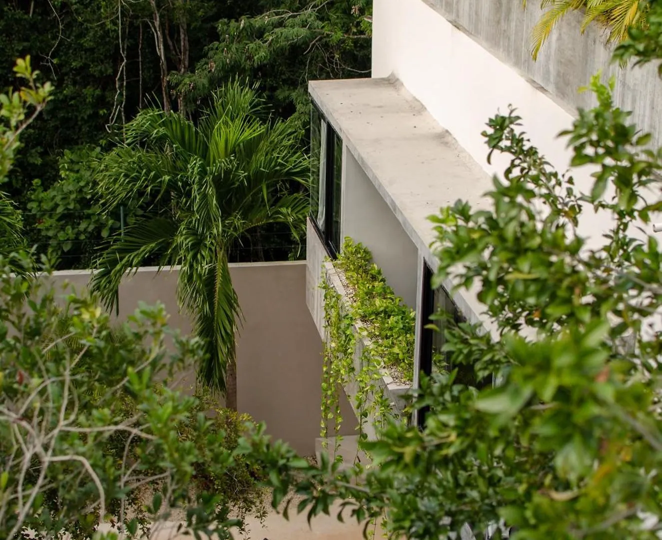 Nomad Humans Coliving Apartments Tulum