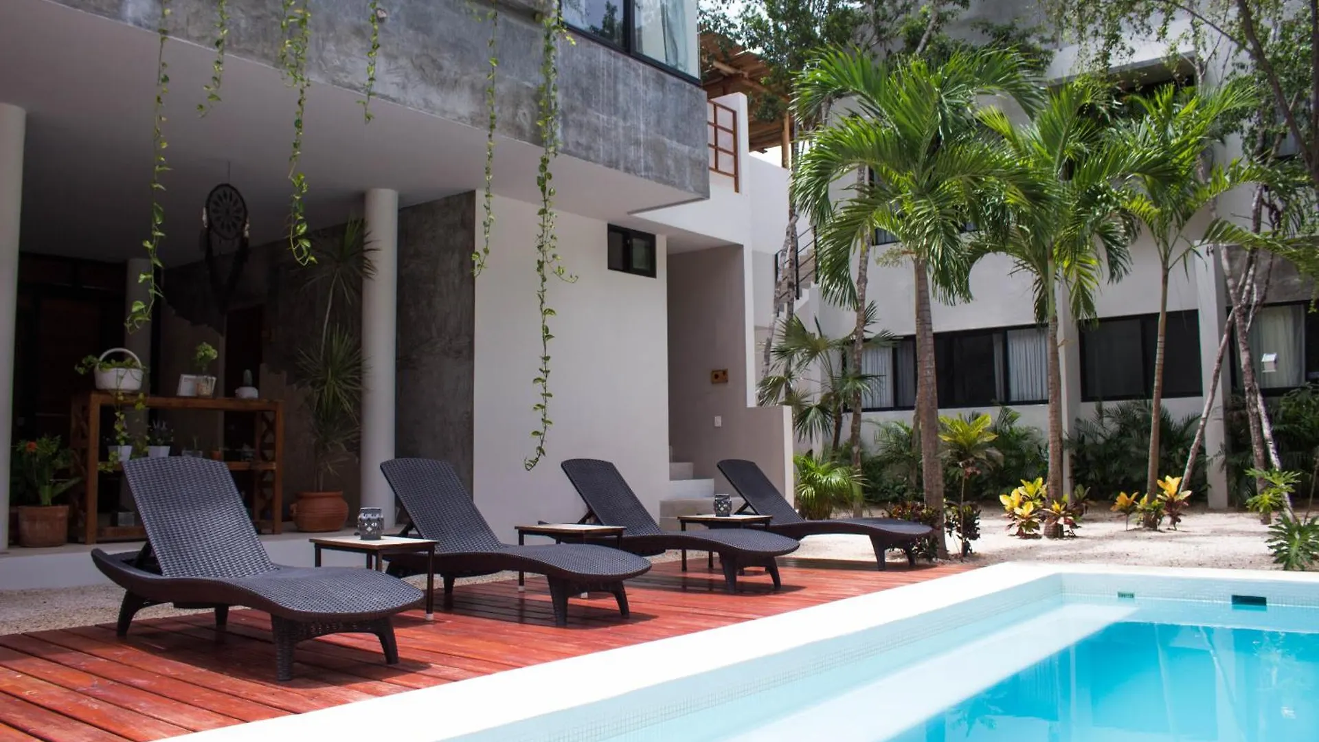 Nomad Humans Coliving Apartments Tulum