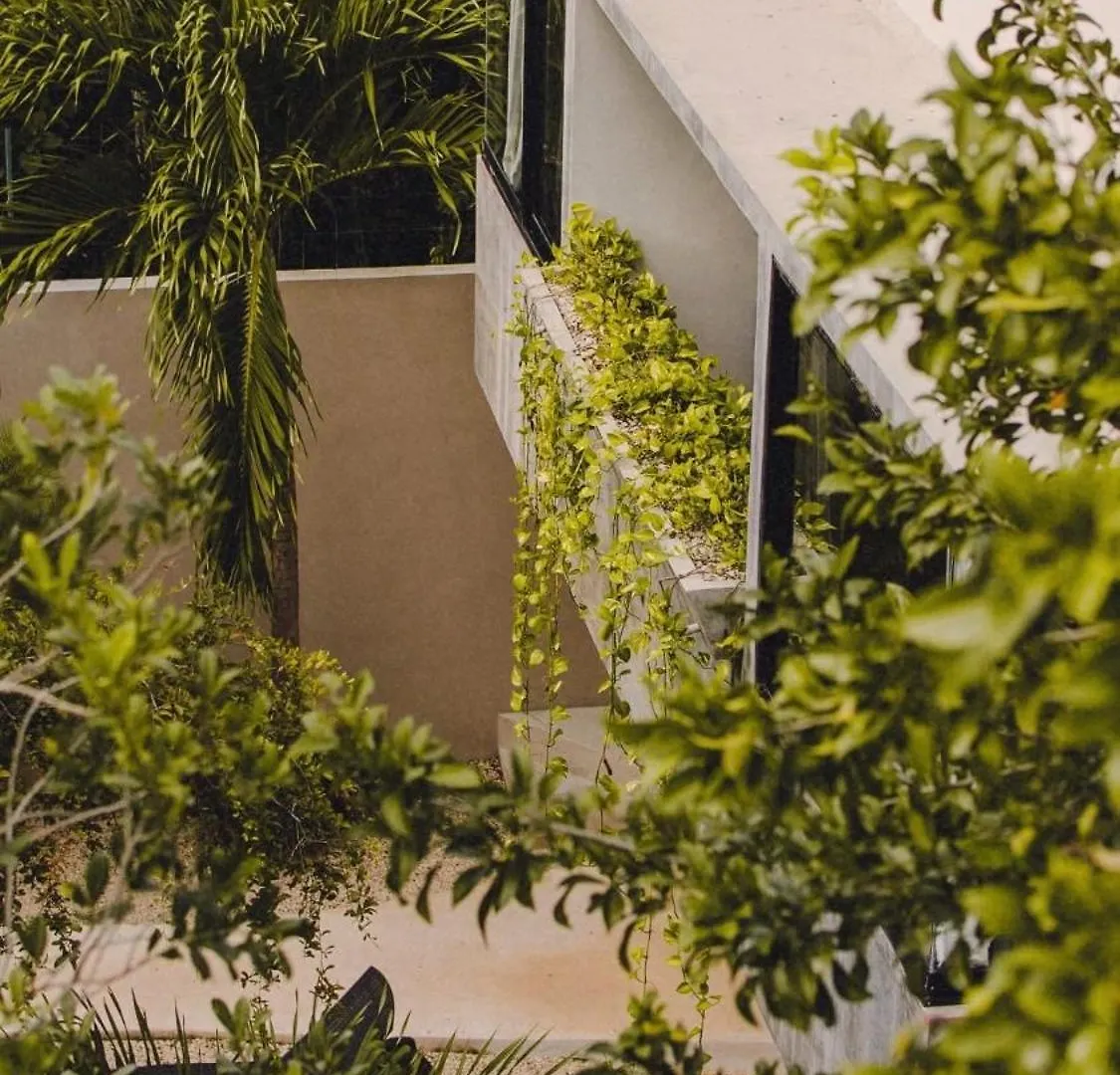 Nomad Humans Coliving Apartments Tulum